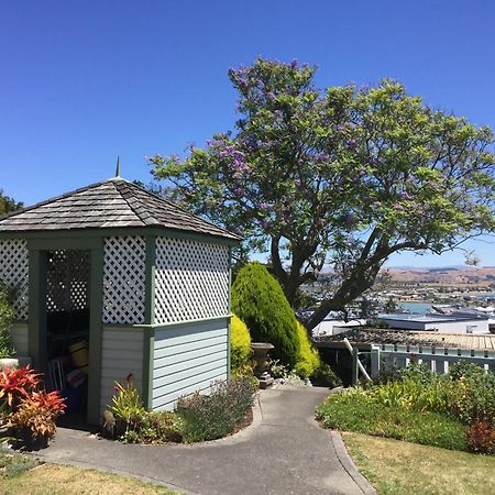 Jacaranda Lodge - Napier Hill Holiday Home Esterno foto